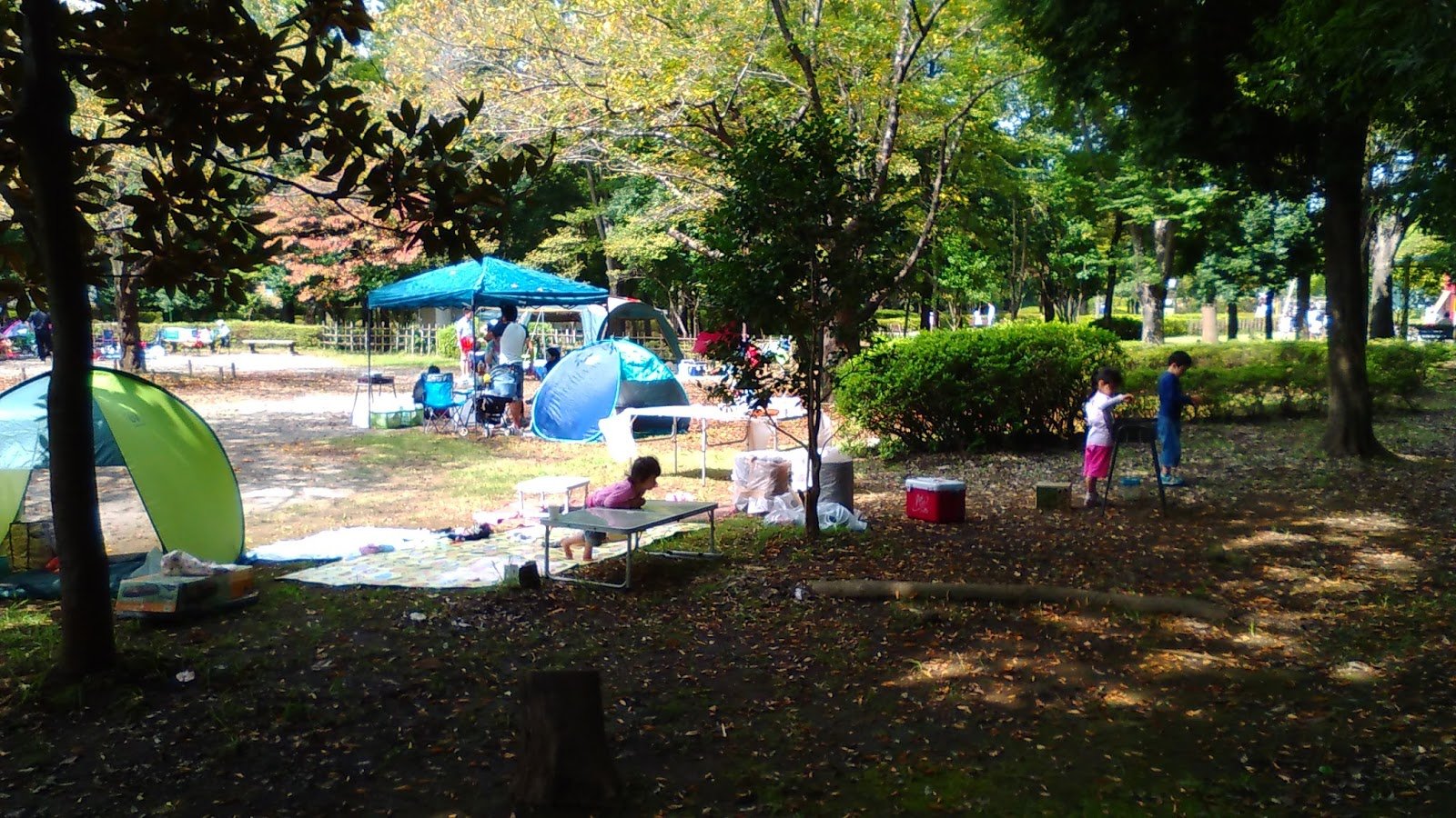 🏞️ 카조 하나사키 공원 이미지 4